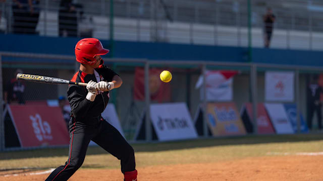 致敬，都柏林动物园将一只极度濒危的鹦鹉取名特洛伊-帕罗特（致敬之举： 都柏林动物园将一只极危鹦鹉命名为特洛伊-帕罗特）